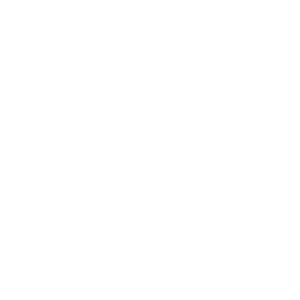 Webmoney logo.